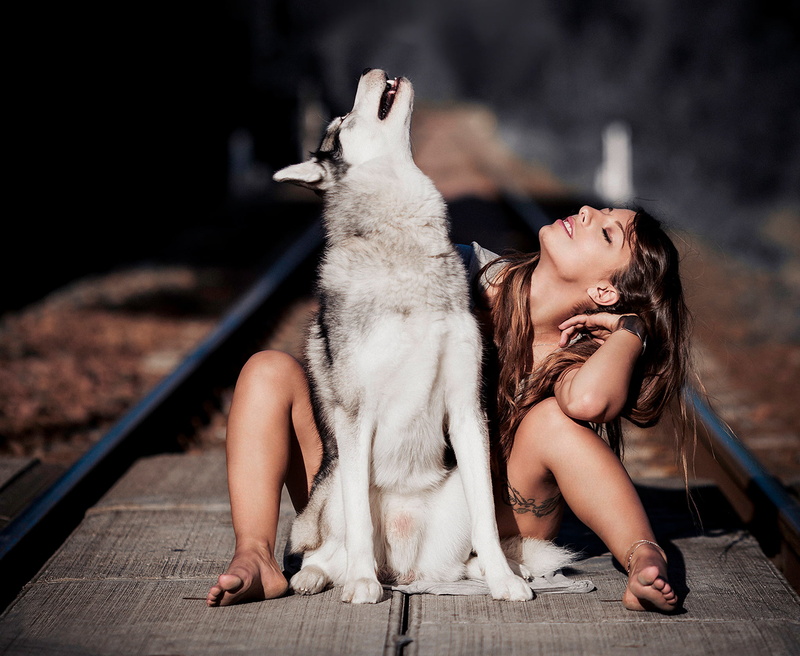 one animal, females, brown hair, beautiful, dog, black, women, girl, friendship, lifestyles, rails, embracing, siberian, enjoyment, domestic Cat, full length