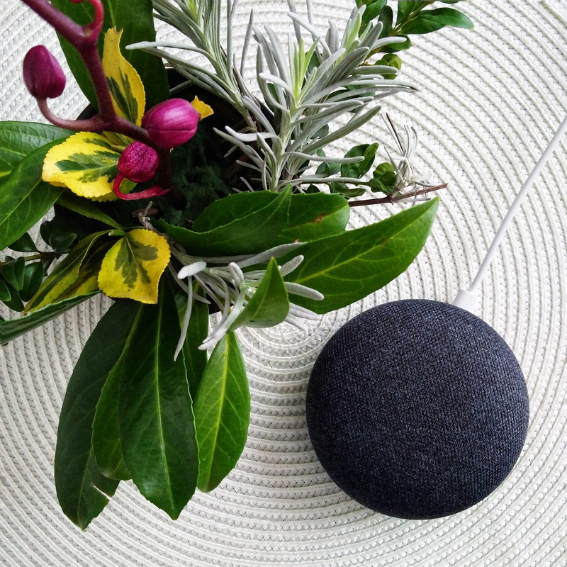 ok google, flower, flowering plant, google home, freshness, google assistant, flower head, houseplant, no people, leaves, high angle view, 2K, google home mini