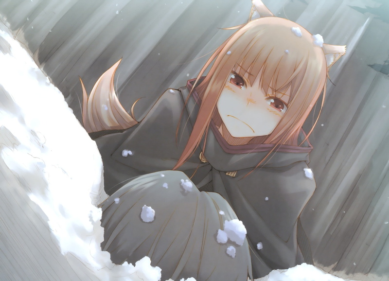 looking at camera, real people, one person, front view, anime girls, anime, cold temperature, 1080P, headshot, nature, outdoors, Okamimimi, Holo, women