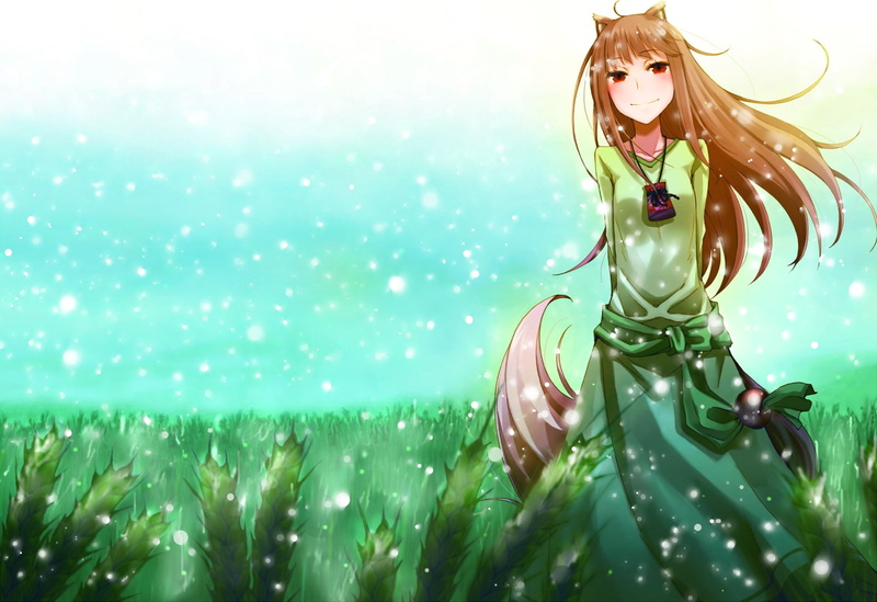 nature, Winter, wise, 720P, x, snow, wolf, fields, art, animal, ears, inumimi, hd, spice, holo