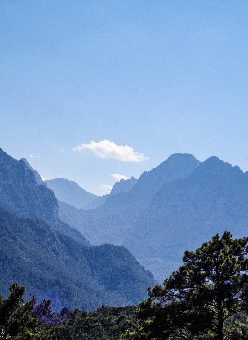 forest, 4K, range, high, remote, mountain range, beauty in nature, outdoors, sky, plant, non-urban scene, tranquil scene, antalya, idyllic, copy space