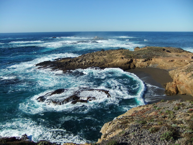 body, Sea Lion, nature, body of water, sea, scenics, cliff, point lobos  state reserve, rock, beach, formation, beside, point, coastline, lion, wave, 2K