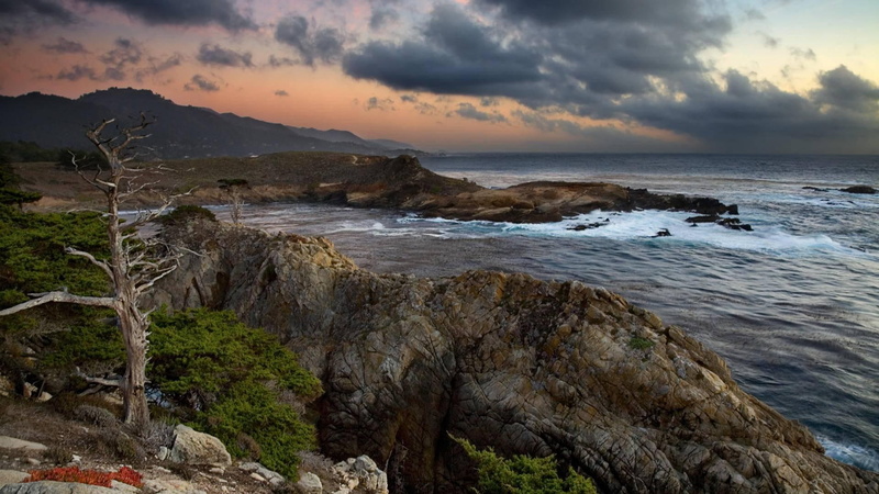 headl, lobos, california, cove, 1080P, coast, nature and landscapes, point, clouds, dead tree