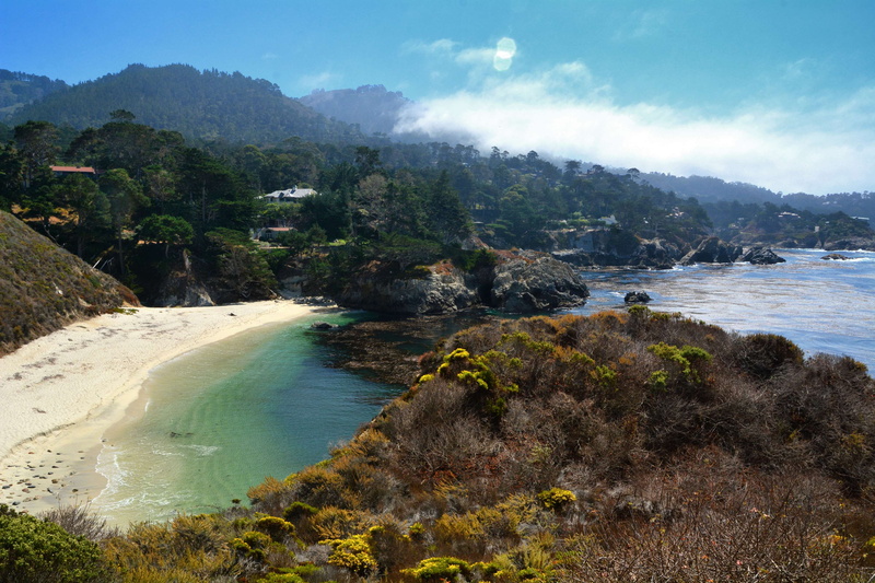 usa, monterey, shore, sky, mountain, grass, tree, flowers, ocean shore, 4K, pacific, land, tranquility, tranquil scene, cove, outdoors, no people, scenics - nature