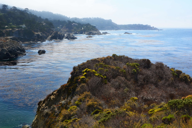 grass, day, beauty in nature, cove, china cove, autumn, rock - object, scenics - nature, tranquil scene, monterey, california, sea, rock, usa, sky, plant