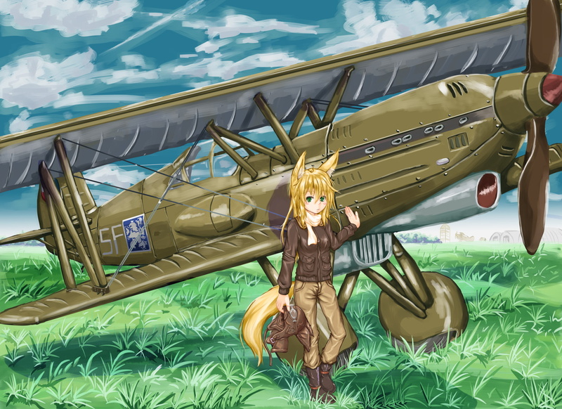 anime girls, 1080P, anime, kitsunemimi, long hair, sky, aircraft, blonde, animal ears, grass, clouds