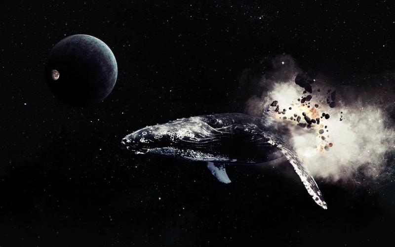 comet, stars, space, Whale, 720P, Moon, planet