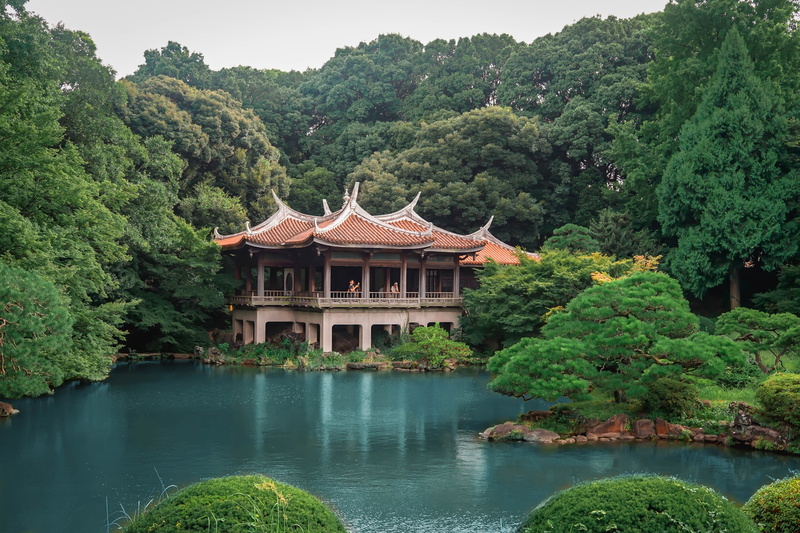 waterfront, plant, belief, growth, tree, shinjuku-ku, built structure, green color, shinjuku gyoen national garden, lake, day, beauty in nature, no people