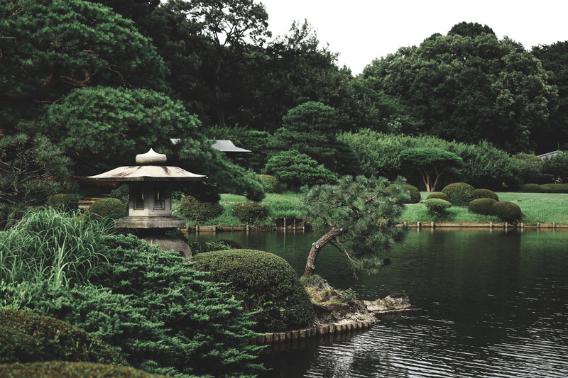 shinjuku gyoen national garden, garden, japanese garden, conifer, formal garden, park, 5K, park - man made space, flora, tree, near, gazebo, no people