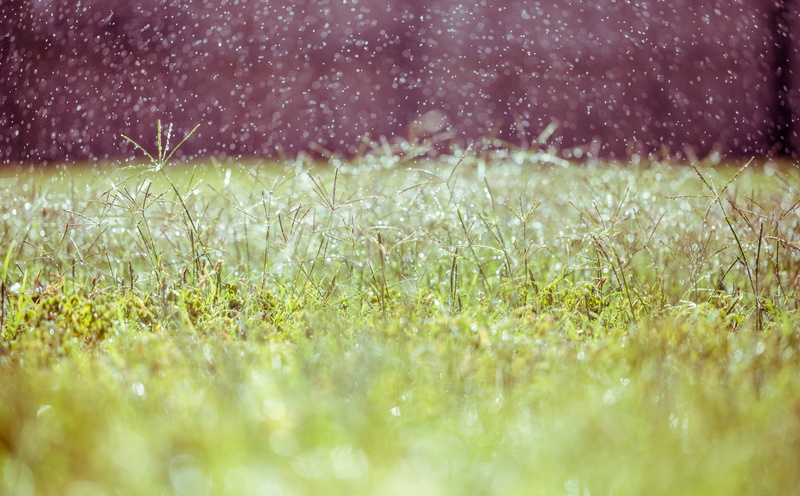 sprinkler, field, blade of grass, landscape, beauty in nature, plant, no people, Green, dew, land, Backyard, full frame, roygbiv, green color, environment