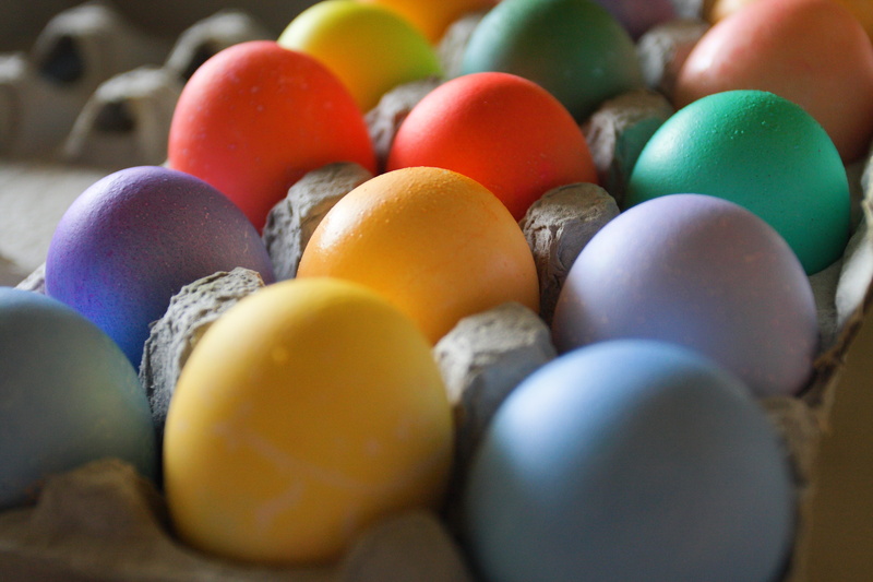 red  orange, roygbiv, shallow, food, eggs, egg, colored, focus, easter, tray, 4K, multi, yellow  green, photography, purple, colors, Easter  eggs, animal Egg