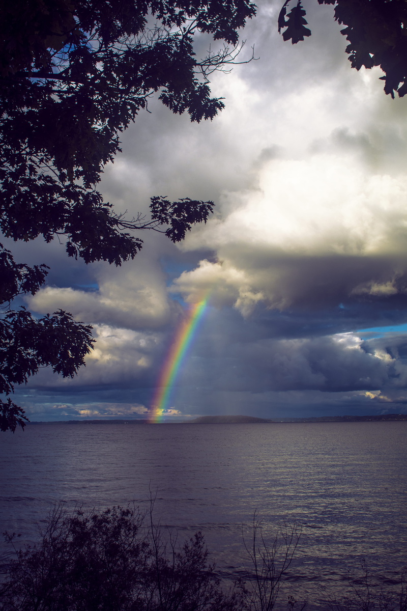 united states, weather, outdoors, idyllic, tranquil scene, fluffy clouds, beauty in nature, sunset, sunshine, scenics - nature, plant, old mission, roygbiv