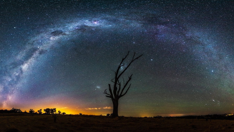 starry night, long exposure, landscape, shooting stars, 1080P, stars, trees, galaxy, comet, dead trees, night, Milky Way