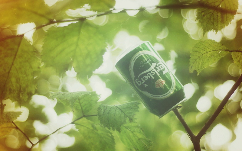 plants, can, beer, photography, leaves, Carlsberg, nature, branch, 1080P