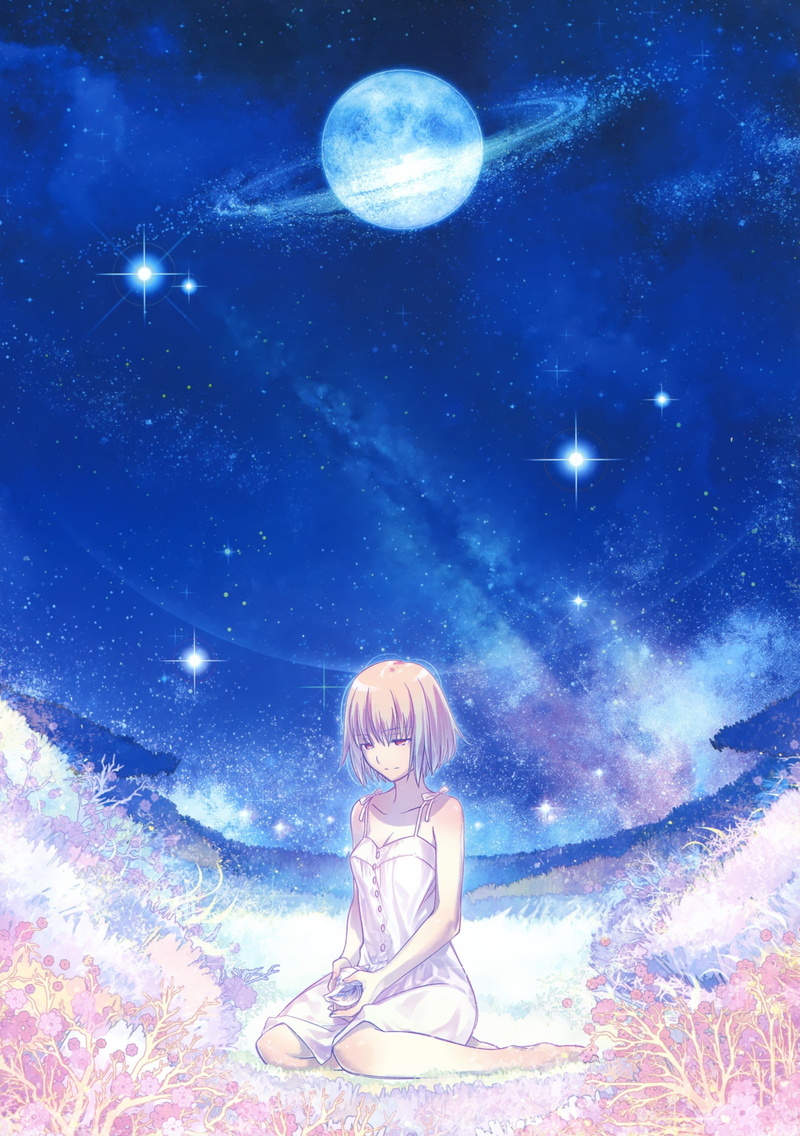 2K, anime girls, Type-Moon, anime