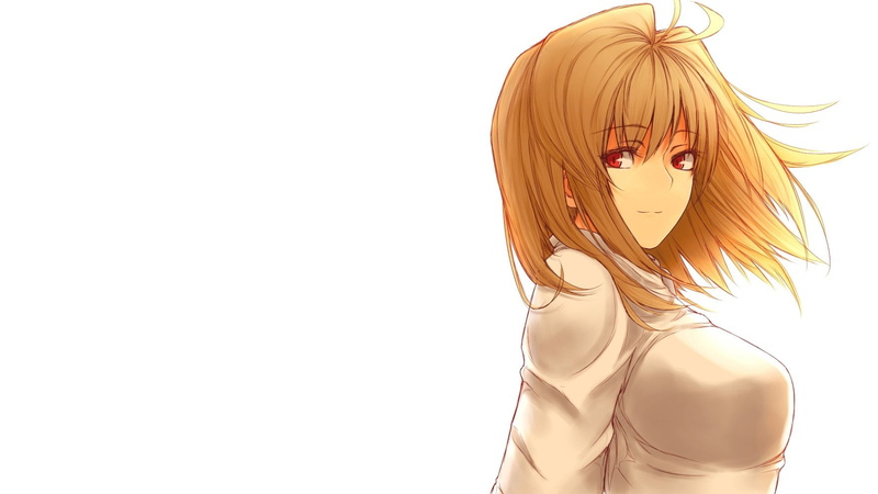 anime girls, human representation, anime, indoors, 720P, copy space, beauty, studio shot, Arcueid Brunestud, beautiful woman, Type-Moon, human hair, close-up