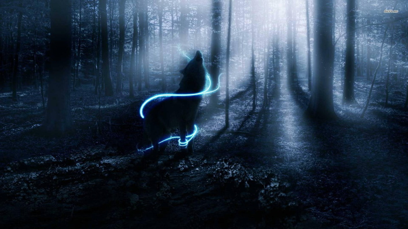 3d and abstract, 1080P, animals, abstract, howling, wolf, woods, fantasy