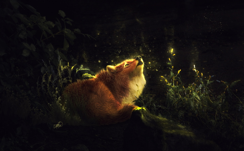 Howling, 4K, Enchanted, Fox, Forest, 4K