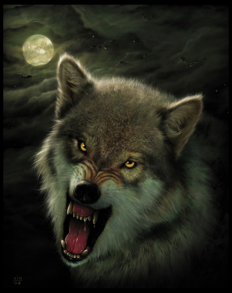 animals, bats, angry, 720P, room, hd, x, moon, wolves, night, space, art, photos, moons