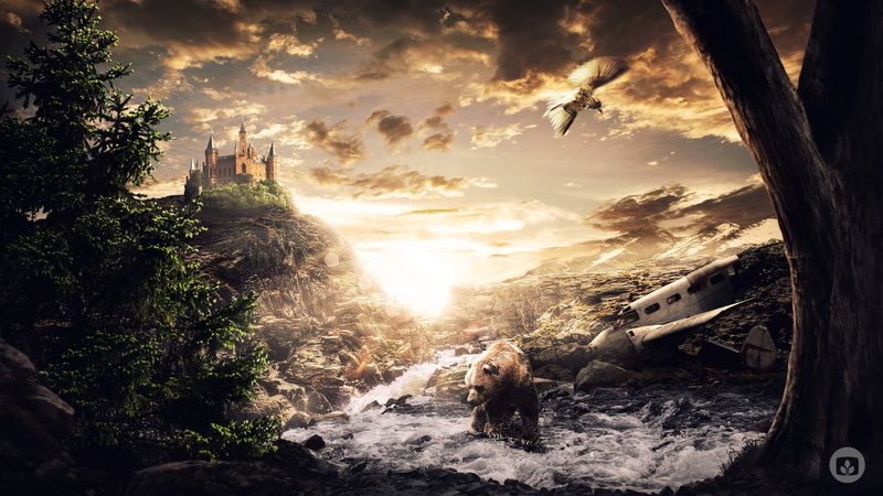 brown, bears, pine trees, 1080P, sky, animal, birds, sunlight, clouds, day, canine, animal themes, nature, wreck, tree, stream, beauty in nature, one animal