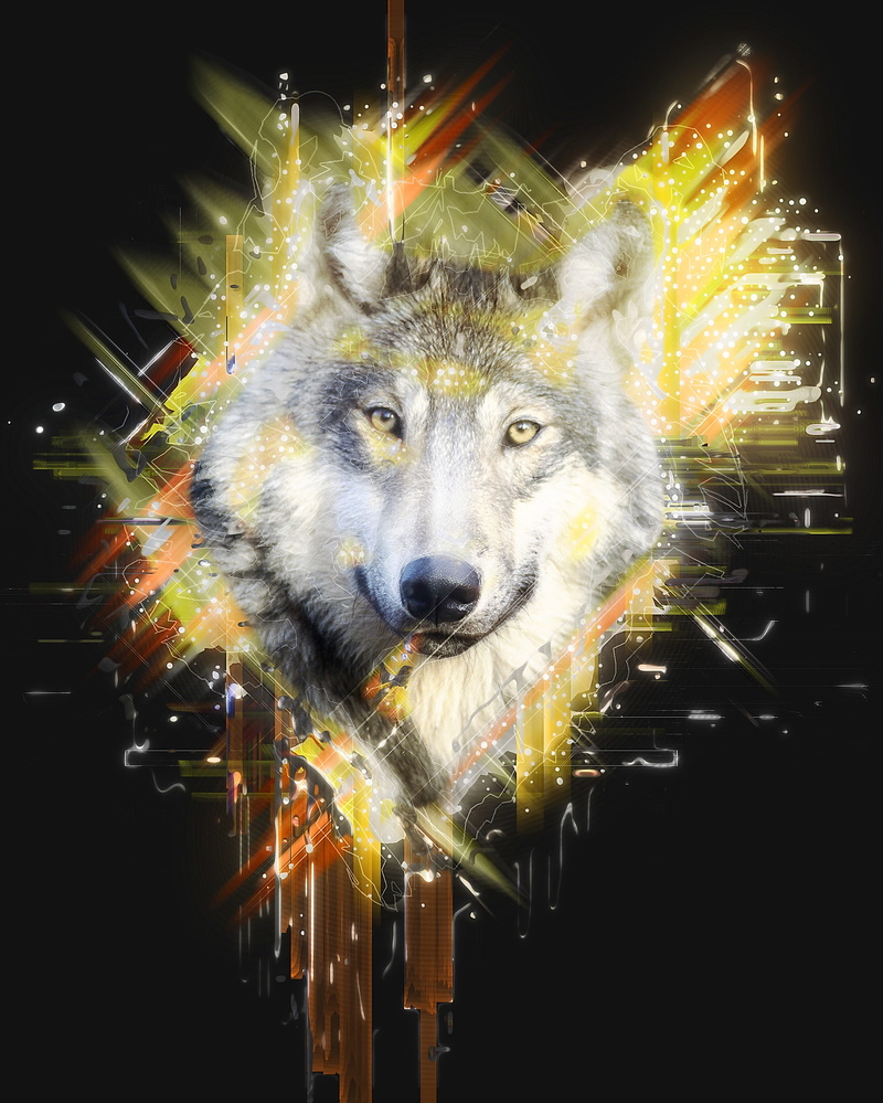digital composite, canis lupus, domestic, animal head, abstract, no people, hundeartig, mammal, animal themes, canidae, looking, animal, motion, 2K, looking at camera