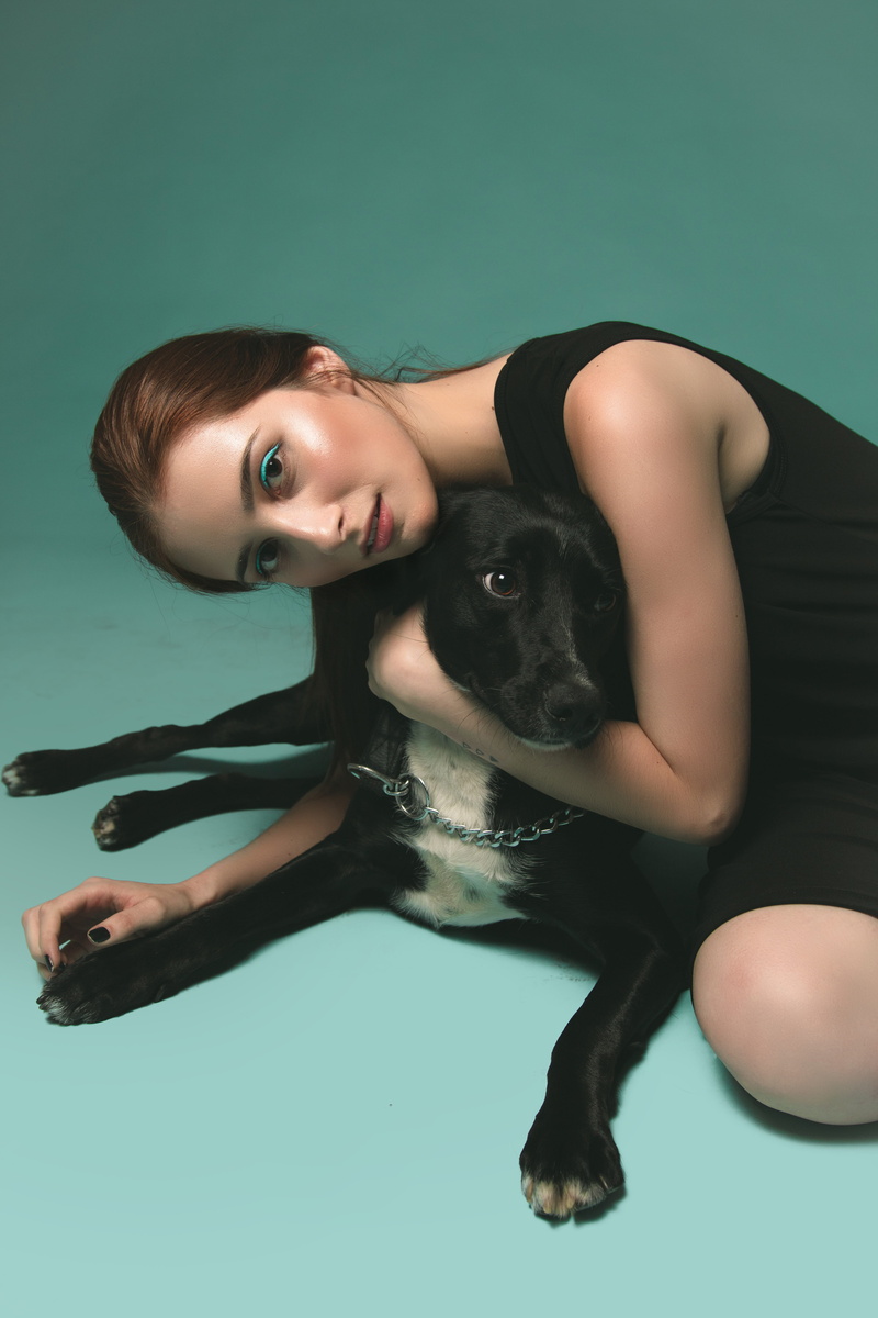 young adult, domestic animals, looking at camera, canidae, glamour, breed, pets, photo, hairstyle, lady, canine, colored background, cute, brunette, fashion