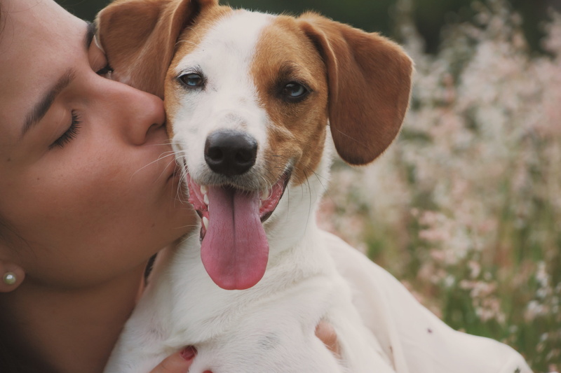 tongue, mammal, human body part, pet owner, canine, person, animal body part, love, animal tongue, dog, 4K, cute, people, photo, female, depth of field