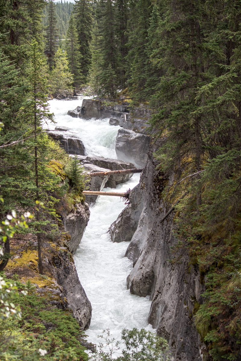 flowing, destinations, mountain, canadian, park, outdoors, untamed, power in nature, cavell, forest, flowing water, river, rock, lake, no people, columbia
