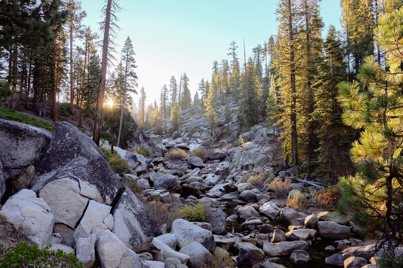 flowing water, flowing, tree, 4K, untamed, change, rugged, sky, sunlight, land, wilderness, beauty in nature, rock, tranquil scene, growth, day, non-urban scene