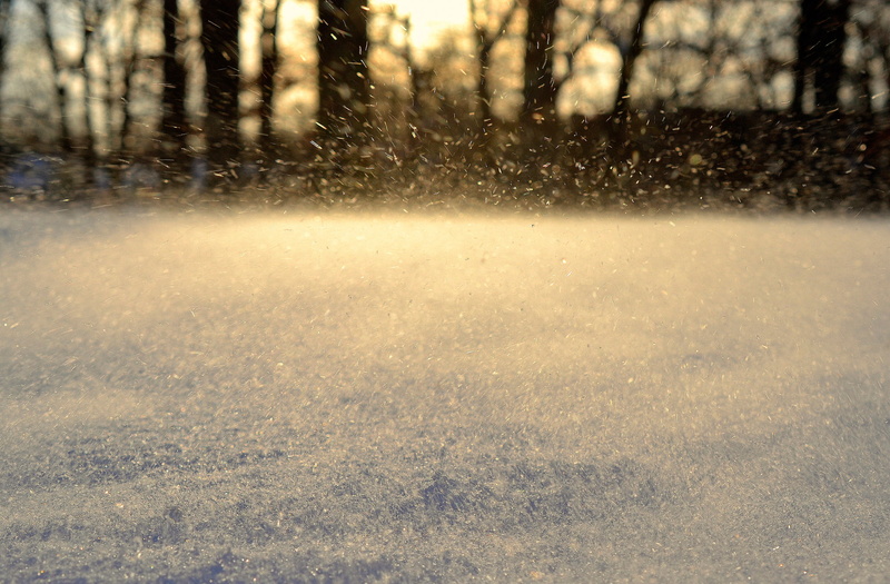 winter, movement, snowflakes, 1080P, untamed snow, snow