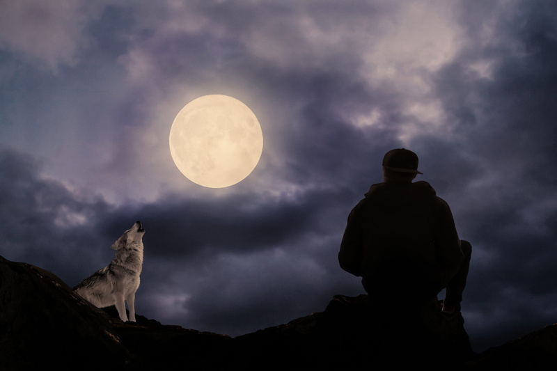howl, cloud - sky, 5K, rock, moonlight, darkness, moon, silhouette, one person, full moon, outdoors, one animal, composing, astronomy, sitting, wolf, dark