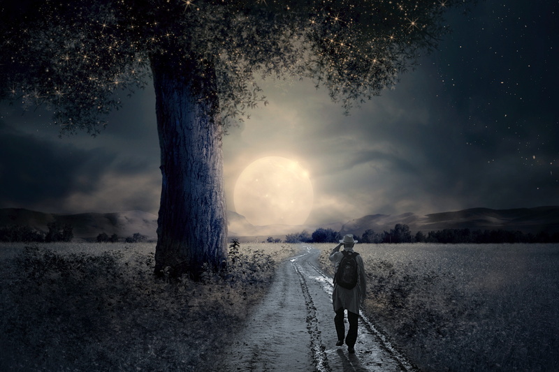 walking, full moon, tranquil scene, one person, tree, full length, meadow, spacer, celebrities, land, warm clothing, evening, moonlight, leisure activity