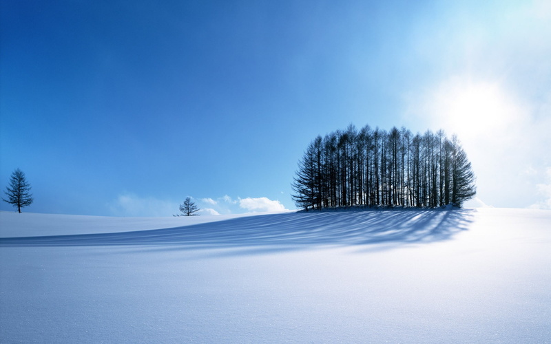 environment, sunlight, nature, scenics - nature, frozen, shadow, blue, plant, no people, daytime, outdoors, tree, land, copy space, near, landscape, snow