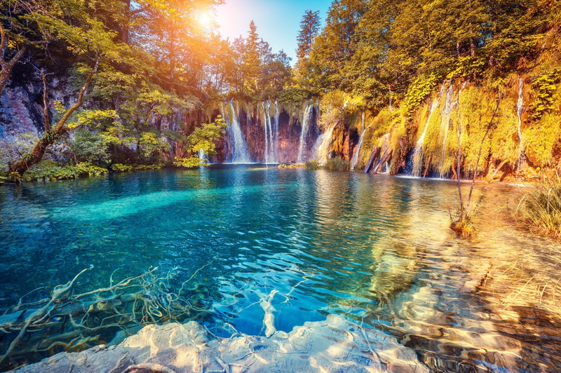 flowing water, trees, season, scenics - nature, sky, water, no People, outdoors, woodland, colors, red, travel, tree, yellow, color Image, change, tranquil Scene
