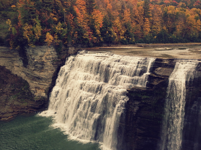 non-urban scene, beauty in nature, nature, falls, water, power in nature, autumn, day, plant, flowing water, outdoors, flowing, long exposure, motion, forest