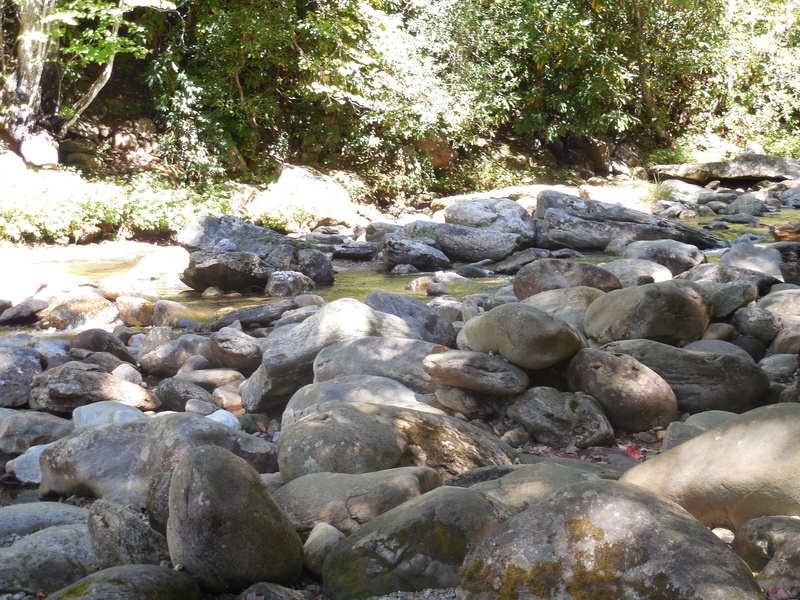 precipice, shallow, rock, peaceful, water, beauty in nature, stream, outdoors, mirror image, rock - object, forest, brown, tree, tranquility, stone - object