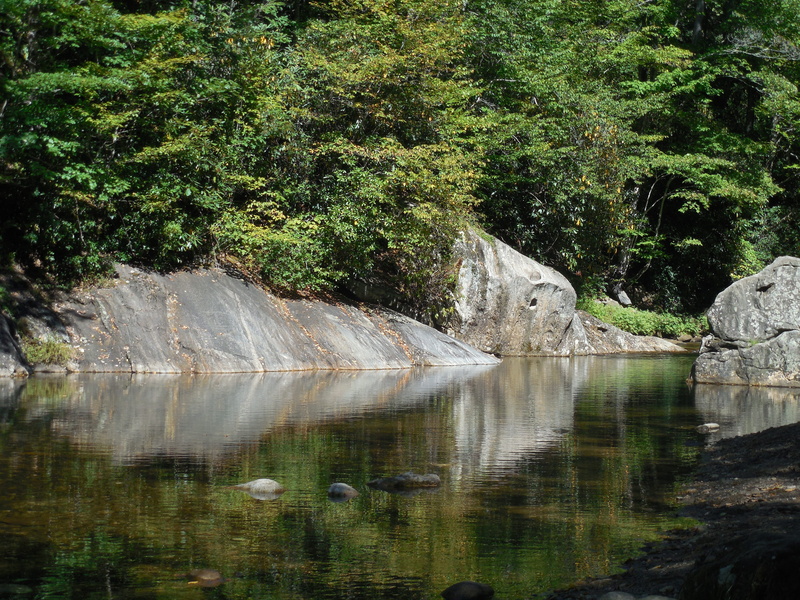 waterfront, plant, lake, mirror image, pool, peaceful, precipice, landscape, wood, outdoors, land, wet, rock, tranquil scene, liquid, green color, 4K