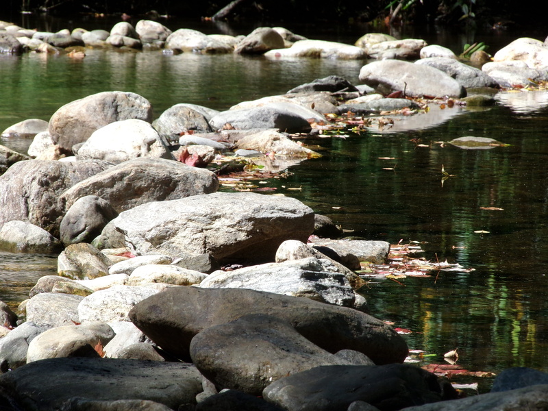 view, rock - object, creek, wet, mirror image, animal, day, natural, liquid, animal themes, River, trail, peaceful, white, vertebrate, Water, scenic, 4K