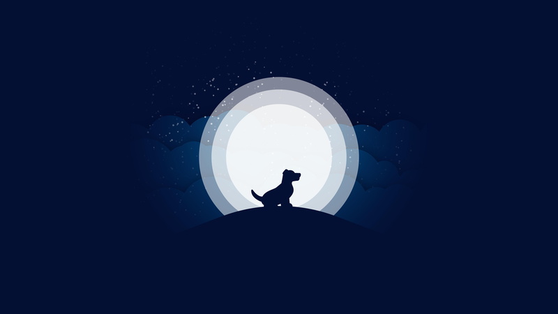 night, silhouette, dog, howling, funny, moonlight, graphics, circle, darkness, moon, 8K