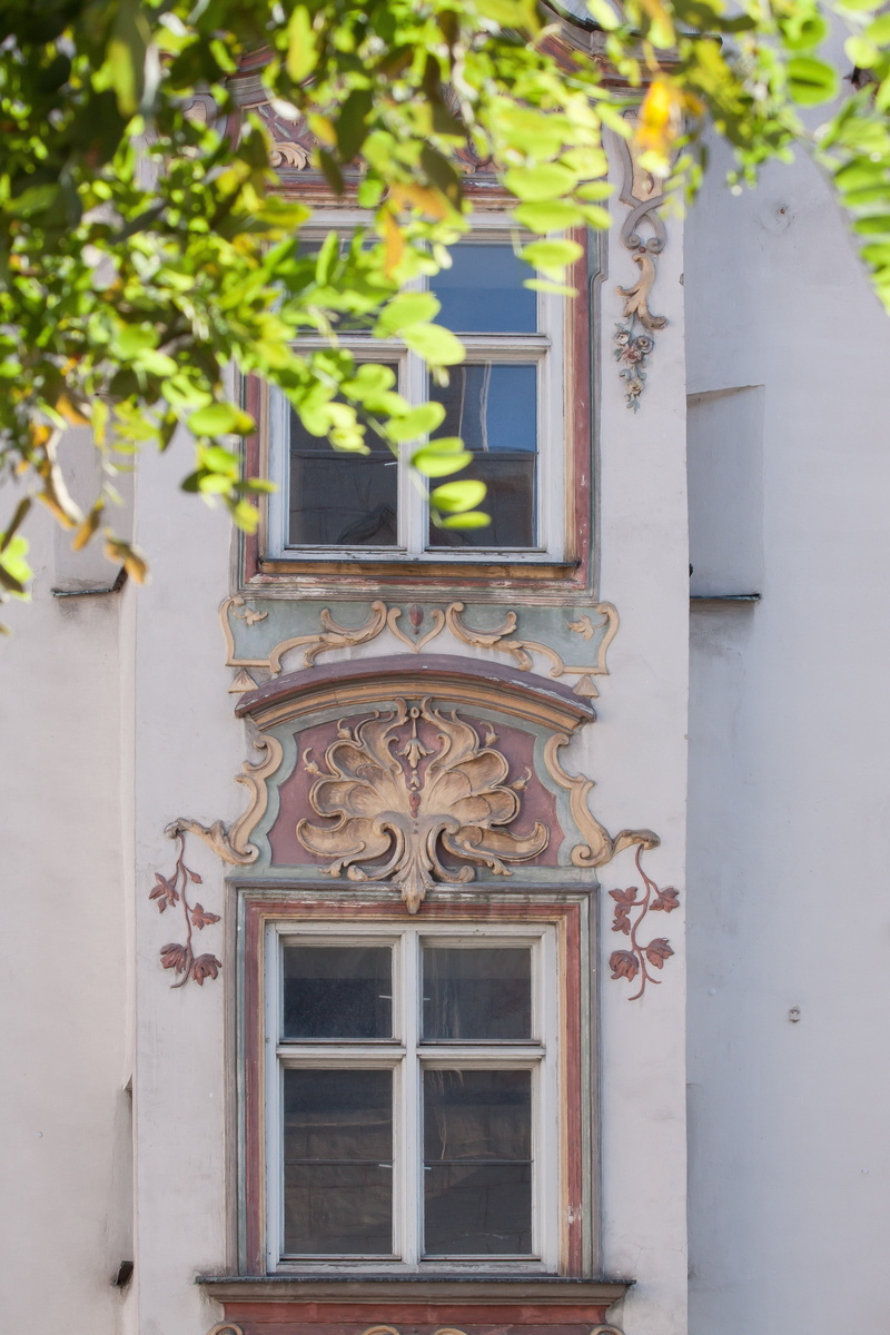 color, tree, ornament, ornate, closed, stucco, spirituality, architecture, home, no people, rococo, style, ornaments, belief, nature, growth, religion