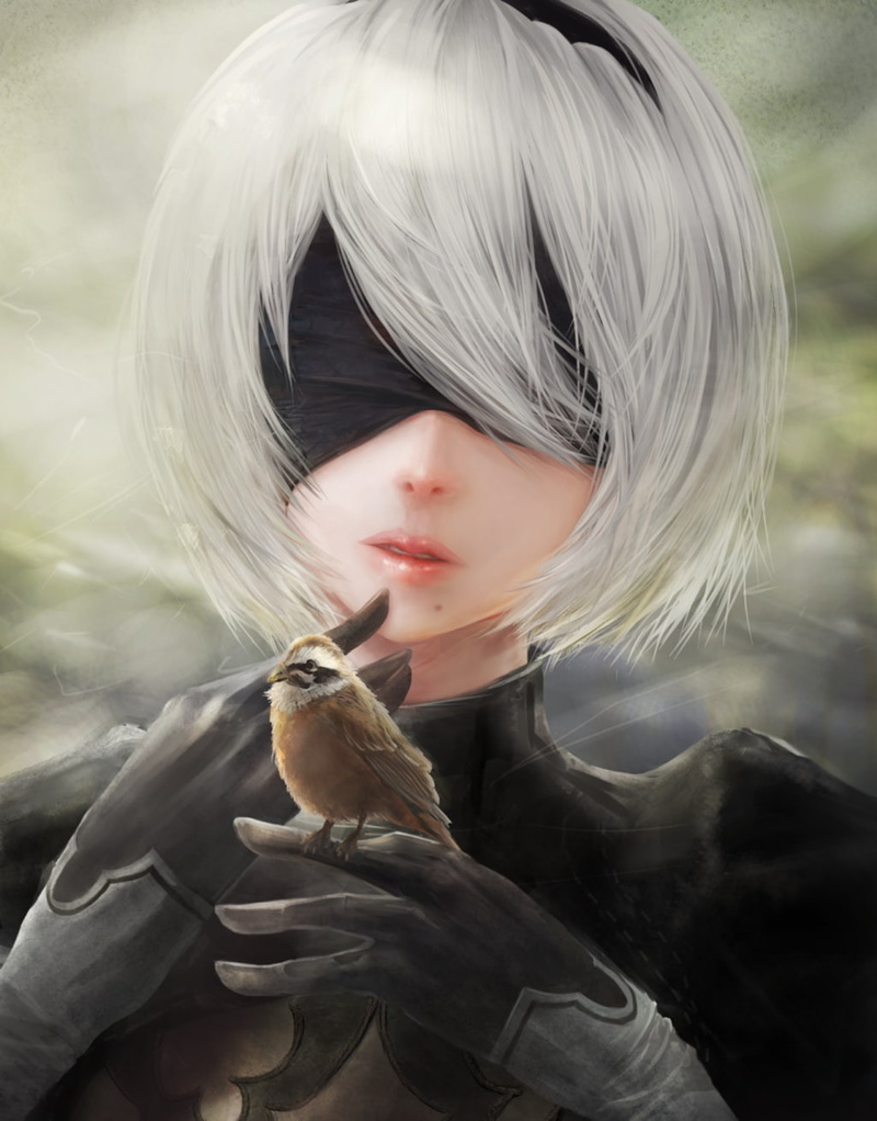 elbow gloves, 2B (Nier: Automata), birds, 720P, NieR, Nier: Automata, animals