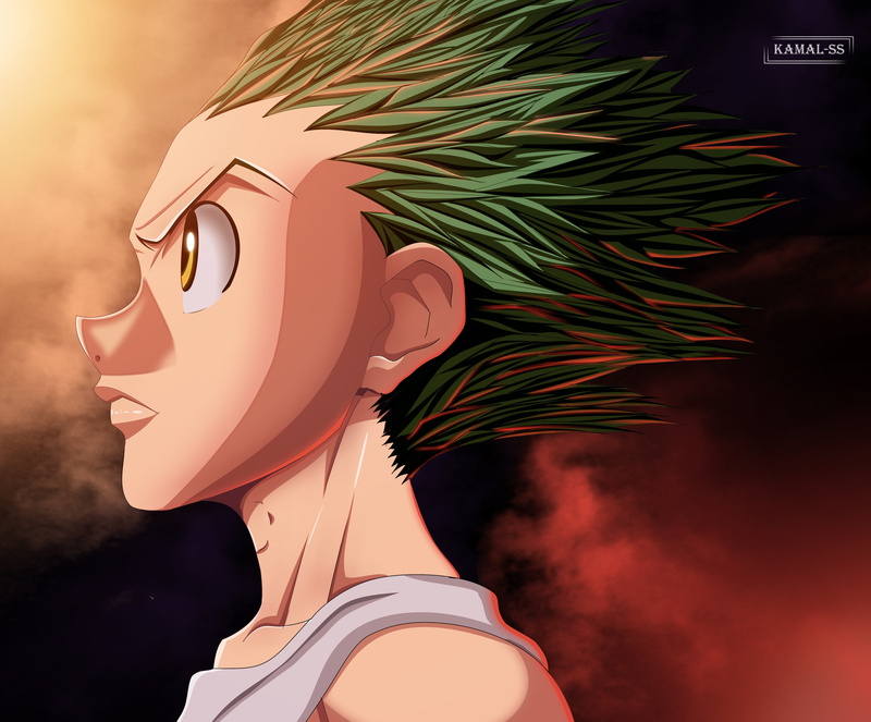 4K, Hunter x Hunter, Gon css, Anime