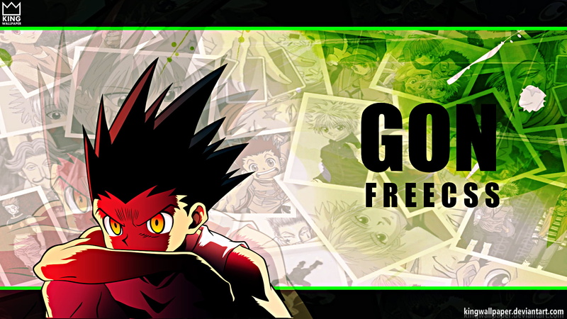 Hunter x Hunter, 1080P, Gon css, Anime