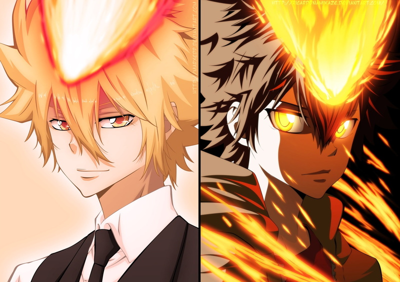 Tsunayoshi Sawada, Katekyō Hitman Reborn!, Giotto (Katekyō Hitman Reborn!), 1080P, Anime