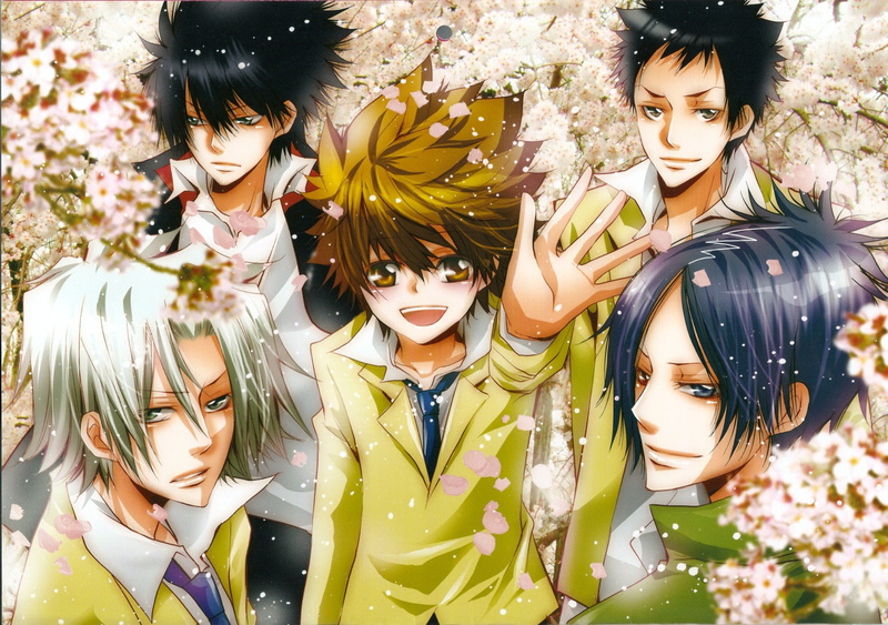 rokudo, takeshi, hibari, mukuro, yamamoto, tsunayoshi, reborn, kyouya, sawada, katekyou, 1080P, character, gokudera, hitman, hayato