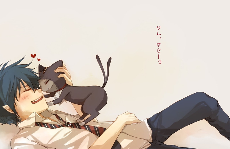 mephist, dogs, boys, fishnet, ao, cats, anime, hd, exorcist, art, animals, school, school uniforms, okumura, uniforms, rin, tail, 720P