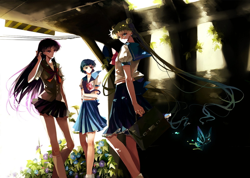 hair, sailor, rei, ami, purple, long, moon, mizuno, tsukino, seifuku, butterfly, blonde, 720P, usagi, nonrain, twintails, hino, nako, flowers