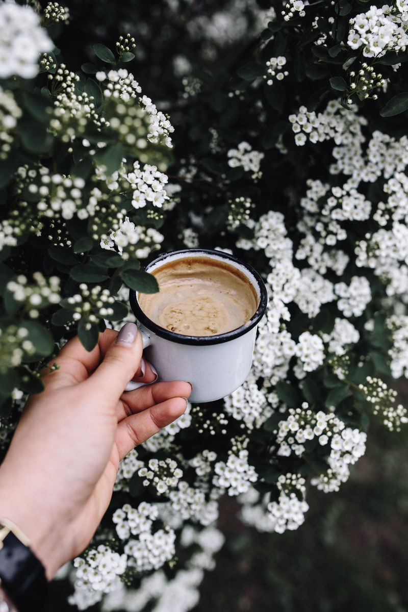 coffee - Drink, human Hand, cappuccino, espresso, flowers, late, cafe, garden, Morning coffee, finger, nature, human body part, in the garden, day, adults only