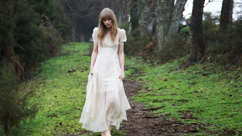 celebrity, standing, hairstyle, clothing, fashion, woodland, full length, beauty, outdoors, adult, Taylor Swift, dress, women, beautiful woman, forest