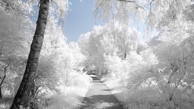 white, snow, path, nature and landscapes, cold, blue, nature, imitation, winter, 1080P